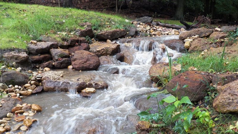 Streams Streams